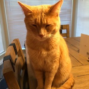 Meet your Posher, Brandon